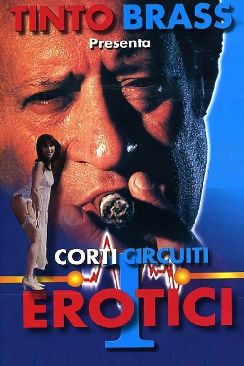 Erotic Short Circuits Vol. 1 poster